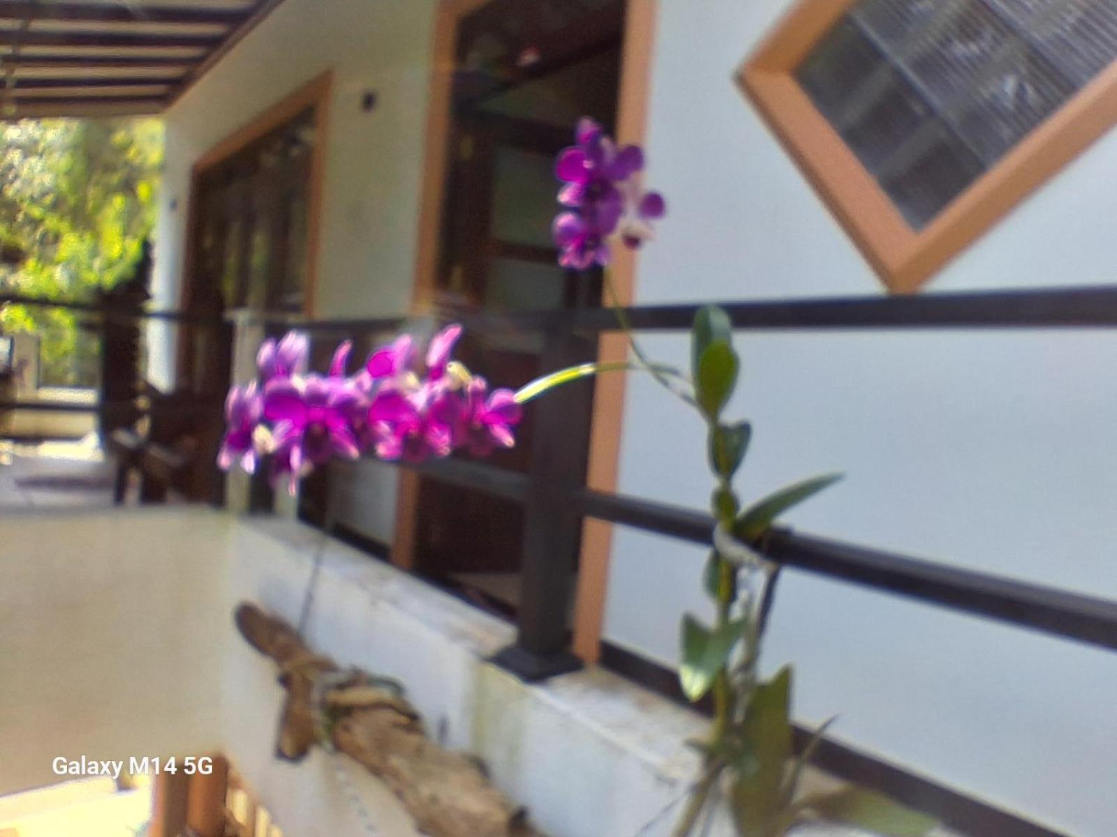 Rock Side Inn Unawatuna Luaran gambar